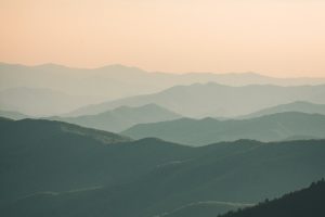 Кінопоказ — куди піти в Запоріжжі 15–16 липня